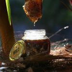 Wild Bee Honey