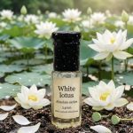 White Lotus