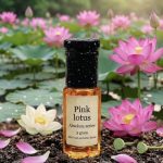 Pink Lotus