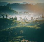 Kyara Ceylon - Image 2