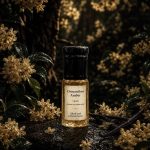 Osmanthus Amber