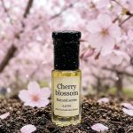Cherry blossom