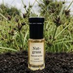 Nut-grass