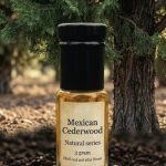 Maxican cederwood