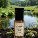 Marigold