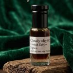 Cloudy chypre