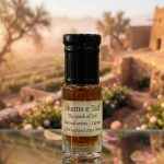 Shams e Taif